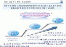 경제 성장우선정책 혹은 분배우선정책 5페이지