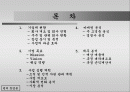 [벤처창업론]역경매 여행사 2페이지