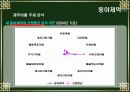 동아제약 경영분석 17페이지