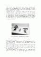 급속 조형법(Rapid Prototyping) 18페이지