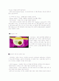 인도의 음식문화 6페이지
