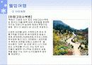 파워포인트 발표자료 [관광] 19페이지
