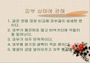 단계별 피부특성과 관리요령 9페이지