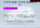 도요타의 수직적계열화 13페이지