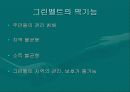 그린벨트 6페이지