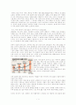 국제결혼에 대한 한국인의 도덕성 문제 1페이지
