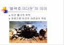 [영화분석]블랙호크다운 3페이지