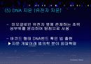 인간유전체다양성프로젝트 PPT 자료 18페이지