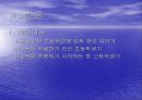 연령별로 살펴본 패션의 종류 - 파워포인트 4페이지
