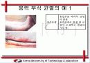 응력 부식 균열(SCC) 발생 원인과 방지 대책 9페이지
