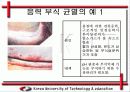 응력 부식 균열(SCC) 발생 원인과 방지 대책 10페이지