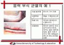 응력 부식 균열(SCC) 발생 원인과 방지 대책 11페이지
