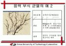 응력 부식 균열(SCC) 발생 원인과 방지 대책 13페이지