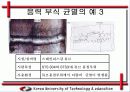 응력 부식 균열(SCC) 발생 원인과 방지 대책 14페이지