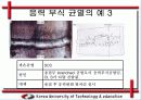응력 부식 균열(SCC) 발생 원인과 방지 대책 15페이지