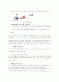 인터넷 음란물 규제 찬/반론 - 내용 등급제 4페이지