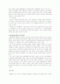 도시개발의 합리화를 위한 방안 4페이지