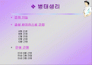 간염( 병태생리 ) 발표 2페이지