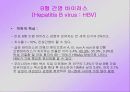 간염( 병태생리 ) 발표 39페이지