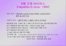 간염( 병태생리 ) 발표 48페이지