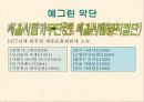 우리나라 뮤지컬의 이해와 감상 4페이지