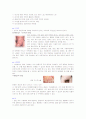 성병의 종류와 예방법, 피임종류와 방법 6페이지