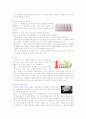성병의 종류와 예방법, 피임종류와 방법 14페이지
