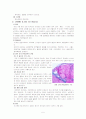 간경화 (Liver Cirrhosis)문헌고찰 간호중재 5페이지