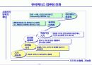 유비쿼터스시대의 사회적 변화와 경영혁신 13페이지