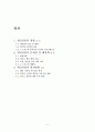 우리나라 게임 산업의 현황, 문제점, 발전방향 2페이지