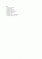 모더니즘의 발생 배경 14페이지