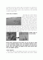 재두루미 2000km의 귀향 (동아시아 철새네트워크 2부작 - 제1편) - 환경스페셜 - 감상문 3페이지