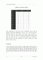 the face shop의 해외진출 33페이지