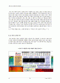 the face shop의 해외진출 35페이지