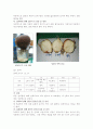담배가 식물의 성장에 미치는 영향 8페이지