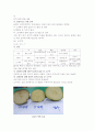 담배가 식물의 성장에 미치는 영향 9페이지