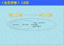 국내 산업의 재도약 방안 -0.5차 더하기- 9페이지
