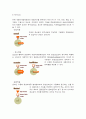  환경호르몬에 관한 고찰 7페이지
