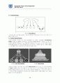 가상조직의 이론과 실제 - Virtual Organization 27페이지