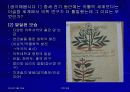 중세의학과 이슬람 의학 19페이지