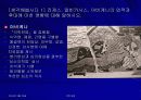 중세의학과 이슬람 의학 30페이지