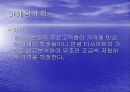 사업계획서(햄스터분양) 4페이지