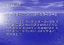 사업계획서(햄스터분양) 7페이지