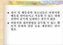청소년기 3페이지