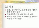 청소년기 8페이지