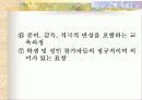 청소년기 14페이지