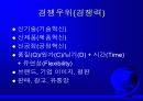 경쟁력과 경쟁전략 3페이지