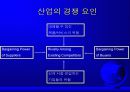 경쟁력과 경쟁전략 14페이지