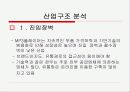 삼성전자 YEPP 마케팅 분석 소비자행동분석 10페이지