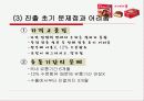 초코파이중국진출성공전략 12페이지